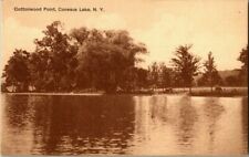 1908. COTTONWOOD POINT. CONESUS LAKE, NY. POSTCARD. DB37 picture