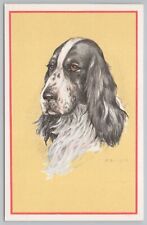Animal~Portrait of St Bernard~Vintage Postcard picture