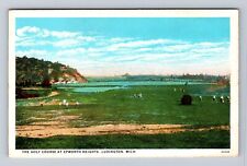 Ludington MI-Michigan, The Golf Course Epworth Heights, Vintage Postcard picture