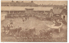 Waterloo, IA Iowa 1952 Postcard, Horse and Cow Congress picture