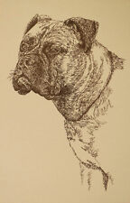 BULLMASTIFF DOG ART GIFT Stephen Kline will draw your dogs name free Print #22 picture