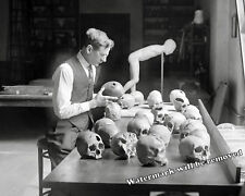 Photograph Anthropology Dr. Egberts Trephination Human Skulls 1926  8x10 picture