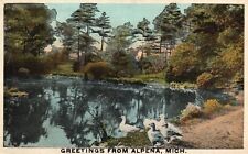 Postcard MI Alpena Greetings Ducks by Pond Posted 1921 WB Vintage PC J2022 picture