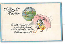 Easter Embossed Postcard 1907-1915 Baby Chick Under Pink Umbrella picture