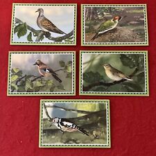 1930s Era Chlorodont Sammelbilder (German) Serie 5 & 6 BIRDS Trade Card Lot  (5) picture
