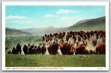 Wyoming~Buffalo Herd Stampede Scene @ Yellowstone Natl Park~Vintage Postcard picture