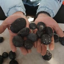 2.2LB 23Pcs Rare Big Sirian Meteorite Tektite Specimen Wholesale Price Indonesia picture