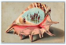 1908 Conch Shell Beach Bathing Embossed Brooklyn New York NY Antique Postcard picture