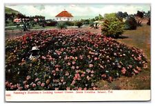 Vintage- Banning's Residence, Santa Catalina Island, California Postcard picture