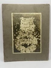 Antique Cabinet Card Gravesite Cemetery Wreath “Our Pal” picture