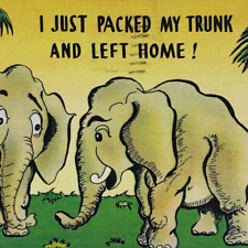 Elephant Comic Humor Linen Postcard c1948 Packed Trunk Luggage Joke Vintage B328 picture