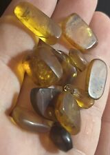 VERY INTERESTING Over 1 MILLION YEAR OLD Amber Fossil Dinosaur Age Insects 1ea. picture