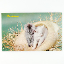 Straw Hat Kitty Cat Postcard 1950s Kitten Feline Pet Animal Portrait Art B2152 picture