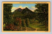 NC-North Carolina, Grandfather Mountain, Antique Vintage Souvenir Postcard picture
