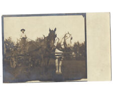 c.1900s Boy Standing On Wagon With Two Horses RPPC Real Photo Postcard UNPOSTED picture