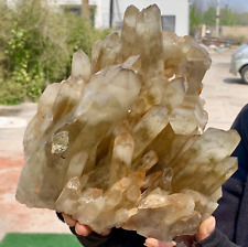 6.72LB Natural Citrine cluster mineral specimen quartz crystal healing picture