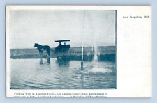 1906. LOS ANGELES, CO. FLOWING WELL IN ANTELOPE VALLEY. POSTCARD DD16 picture