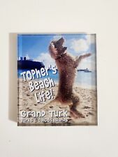 Tophers Beach Grand Turk Souvenir Tourism Refrigerator Fridge Magnet picture