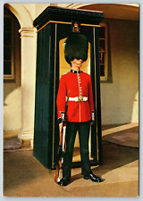 Postcard London England United Kingdom Irish Guard Sentry St James Palace UK 4x6 picture