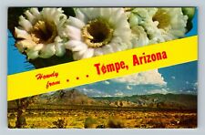 Tempe, AZ-Arizona, Banner Greeting, Flowers, Desert, Vintage Postcard picture