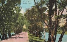 Postcard Lover's Lane Marlin Texas TX Falls County Lakes Trees DB picture