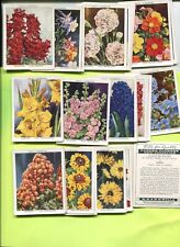 1938 W.D. & H.O. WILL'S CIGARETTES GARDEN FLOWERS 1ST SERIES 40 LARGE CARD SET picture