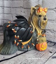Bradford Exchange Delightful Holiday Yorkies Halloween Delight A0052 Works Video picture