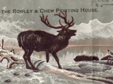 1870s Jno. A. Haddock The Rowley & Chew Printing House Stag Elk Buck Deer P146 picture