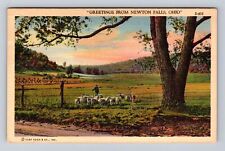 Newton Falls OH-Ohio, General Greetings, Antique, Vintage c1943 Postcard picture