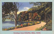 Chapel Hill Tennessee~Curvy Highway Past Spring Creek~1940s Linen Postcard picture