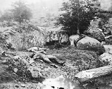 Confederate Dead Soldiers Slaughter Pen Gettysburg 8x10 Civil War Photo 1863 picture