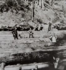 Photo Loggers Acme Logging Camp Acme Wash Taken from org 1907 negative picture