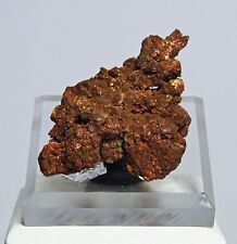 Copper crystals. Bisbee, Cochise County, Arizona. Mason collection. picture