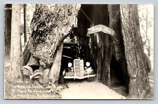 RPPC Classic Car Drives Through Redwood Shrine EKC 1940-1950 VTG Postcard 1286 picture