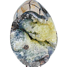 Natural Dragon Septarian Geode Egg Quartz Crystal Rock Reiki Healing 2991G picture