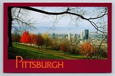 Pittsburgh Skyline Seen From Grandview Park, Pennsylvania, Unposted Postcard picture