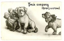 Antique Postcard Puppies I. Phillips Postmark Springfield MN 1910 picture