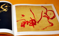Japanese CALLIGRAPHY KOJI KAKINUMA ZEN ART PHOTO BOOK from Japan rare #0006 picture