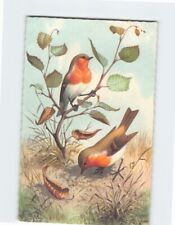 Postcard Two Birds with Leaves Painting/Art Print picture