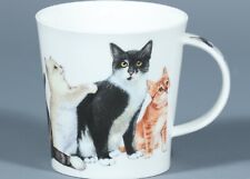 DUNOON CATS & KITTENS Fine Bone China CAIRNGORM Mug #3 picture