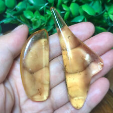 14g Genuine Baltic Amber Polished Nugget Insect Inclusion Rare Specimen 16 picture