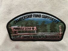 Great Smoky Mountain Council 2014 Campership Fund  CSP   picture