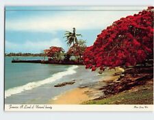 Postcard A Land of Natural beauty Jamaica picture
