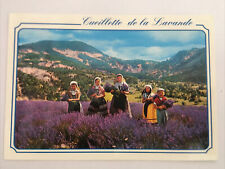 Cueillette De La Lavande France Postcard picture