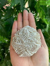 Extra Large Desert Rose Selenite, 1.5-4 Inches Desert Gypsum Rose, Pick a Size picture
