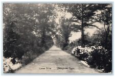 1910 Levee Drive Road Trees Exterior Jackson Tennessee Vintage Antique Postcard picture