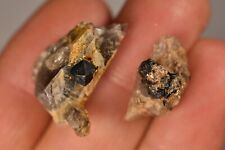 2 *AUSTRALIAN* CASSITERITE In QUARTZ 2-3cm6.5g Natural Tin Mineral Crystal Faces picture