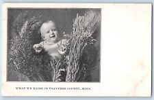 Traverse County Minnesota Postcard Baby What Raise Exterior 1910 Vintage Antique picture