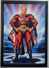 NEW 2022 Collect Trump Trading Card The Champion picture