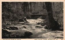 Vintage Postcard 1969 Original Baabbling Brook near Louch's Store Mannsville NY picture